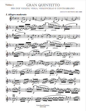 Bottesini Quintetto image 2