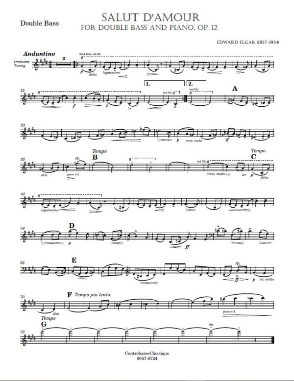Elgar Salut image 2