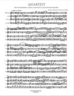 Haydn Quartett image 1