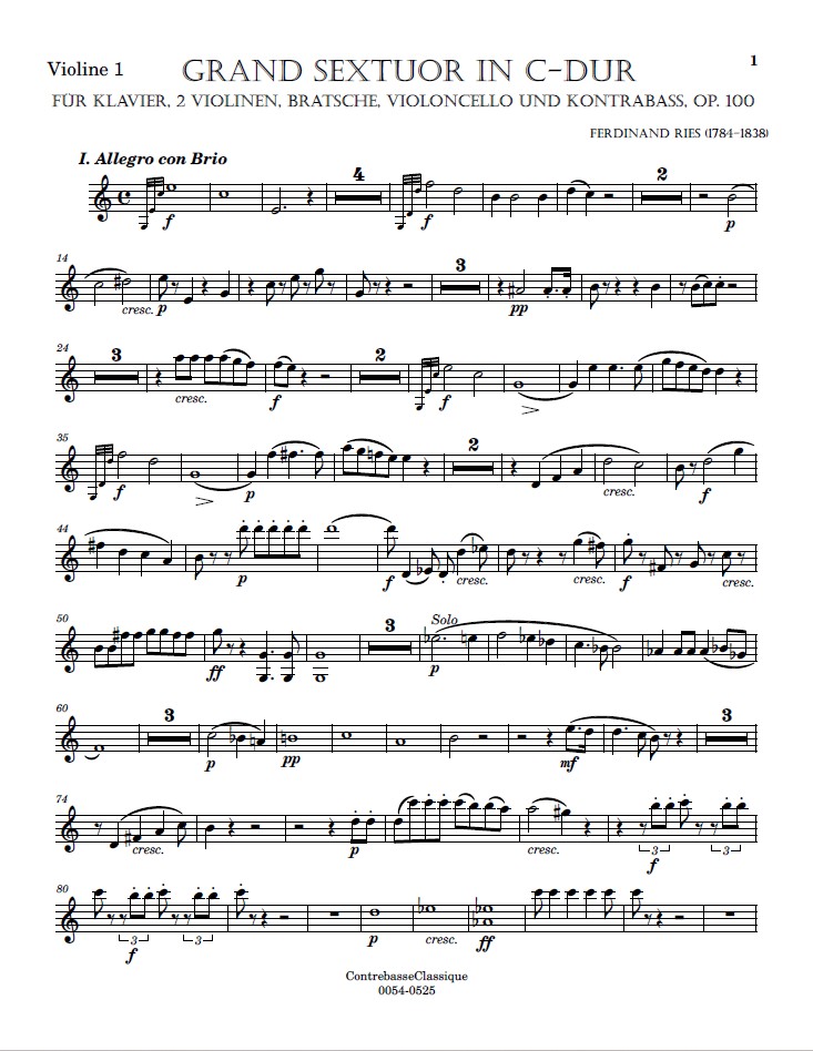 Image 3 Violon1