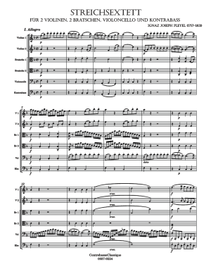 Pleyel Sextett image 1